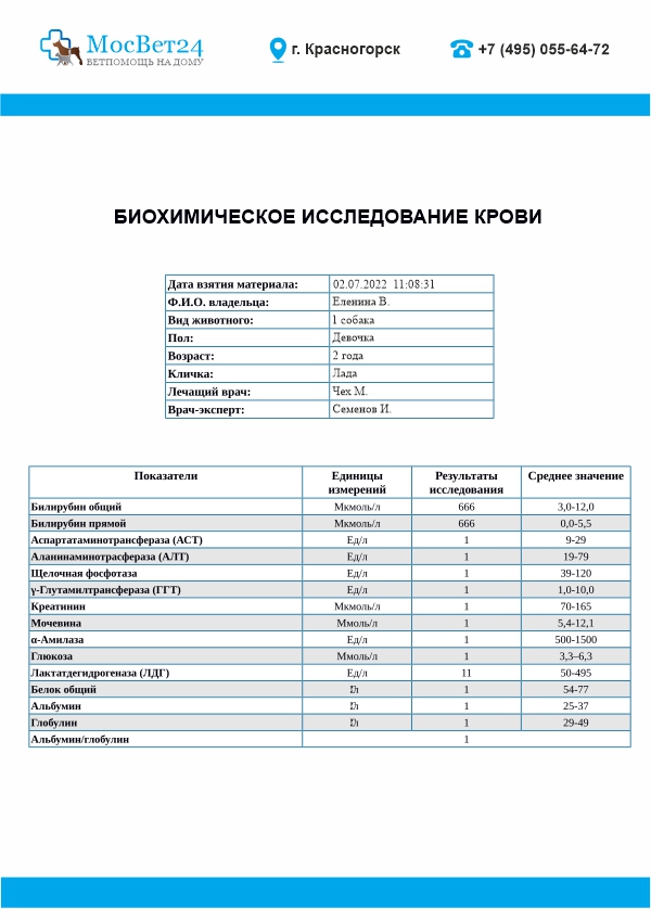 Анализы для собак